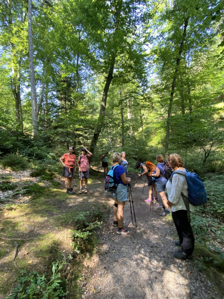 Mehr über den Artikel erfahren Aktivwochenende für Frauen 30.05.-01.06.2025