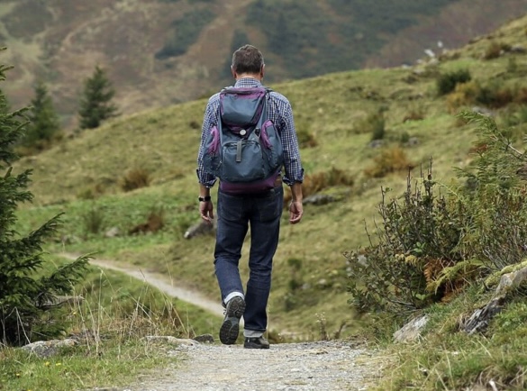 Buchingerfasten Schwarzwald