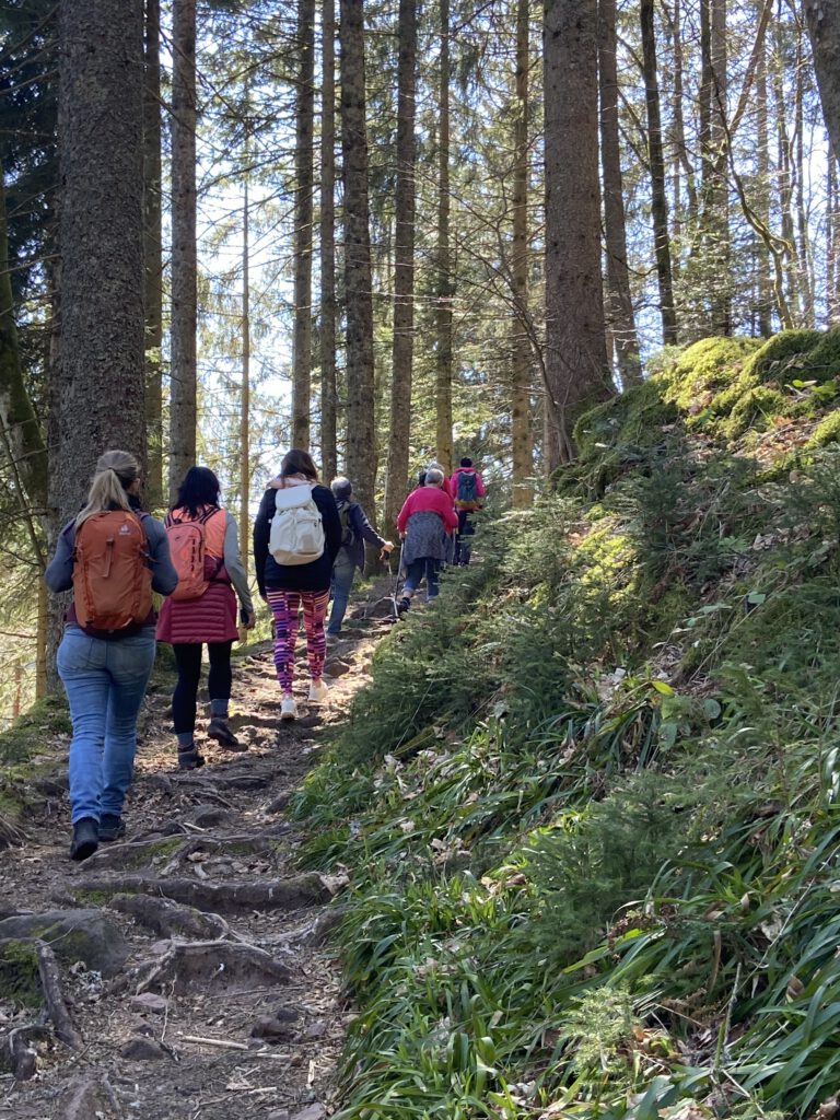 Gruppe beim Wandern